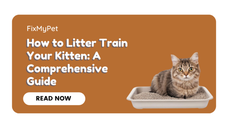 How to Litter Train Your Kitten: A Comprehensive Guide