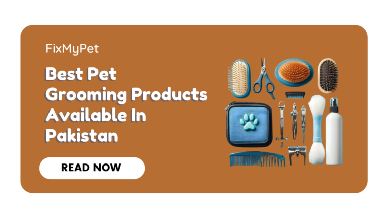 Best Pet Grooming Products Available In Pakistan