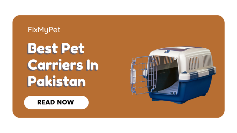 Best Pet Carriers In Pakistan