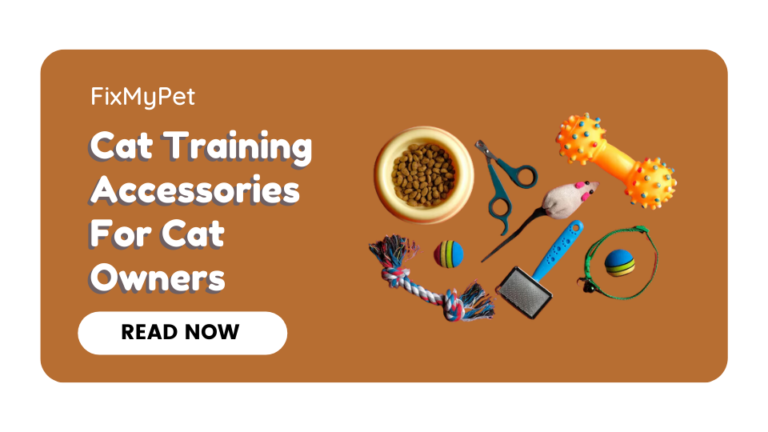 Cat Training Accessories For Cat Owners