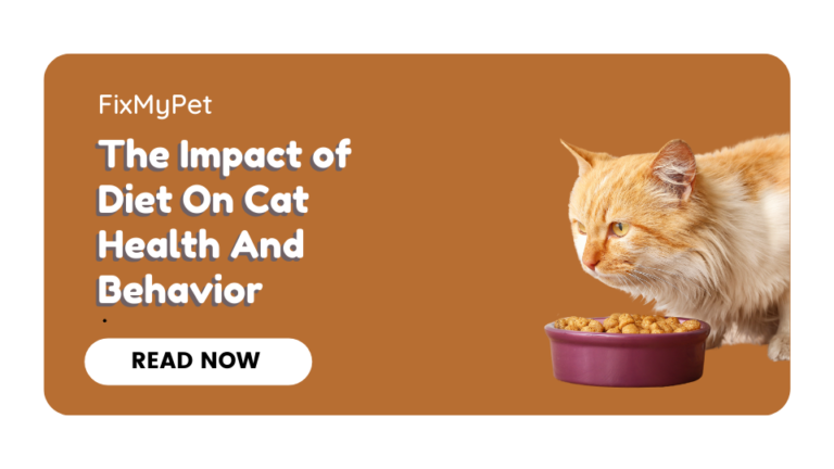 The Impact of Diet On Cat Health And Behavior