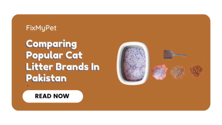 Comparing Popular Cat Litter Brands In Pakistan