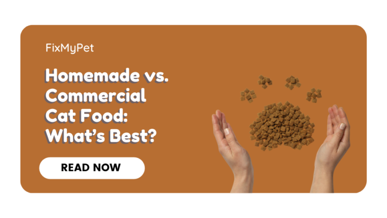 Homemade vs. Commercial Cat Food: What’s Best?