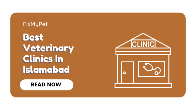 Best Veterinary Clinics in Islamabad